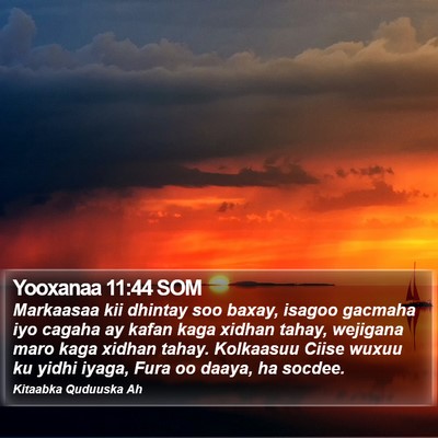 Yooxanaa 11:44 SOM Bible Verse Image