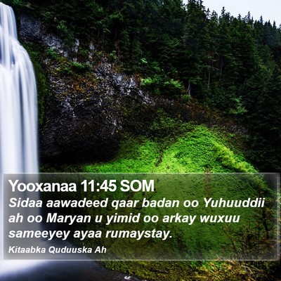 Yooxanaa 11:45 SOM Bible Verse Image