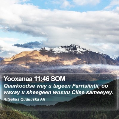 Yooxanaa 11:46 SOM Bible Verse Image