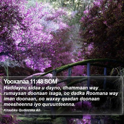 Yooxanaa 11:48 SOM Bible Verse Image