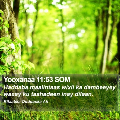 Yooxanaa 11:53 SOM Bible Verse Image
