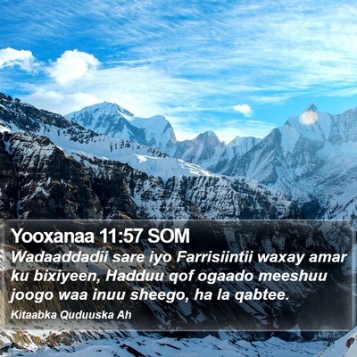 Yooxanaa 11:57 SOM Bible Verse Image