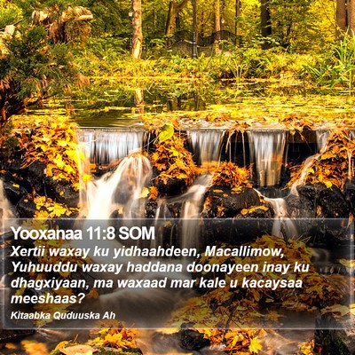 Yooxanaa 11:8 SOM Bible Verse Image