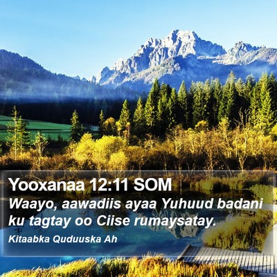 Yooxanaa 12:11 SOM Bible Verse Image
