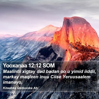 Yooxanaa 12:12 SOM Bible Verse Image