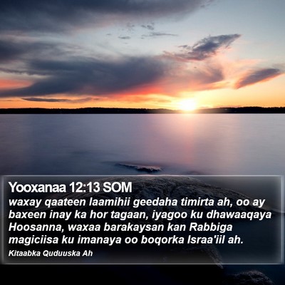 Yooxanaa 12:13 SOM Bible Verse Image