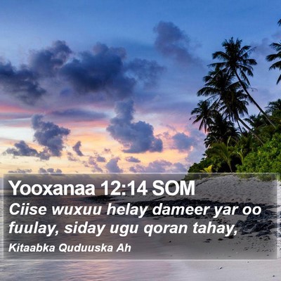 Yooxanaa 12:14 SOM Bible Verse Image