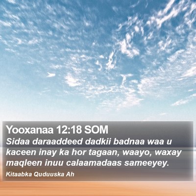 Yooxanaa 12:18 SOM Bible Verse Image