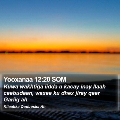 Yooxanaa 12:20 SOM Bible Verse Image