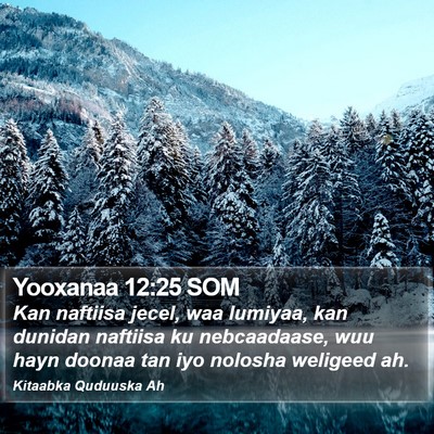 Yooxanaa 12:25 SOM Bible Verse Image
