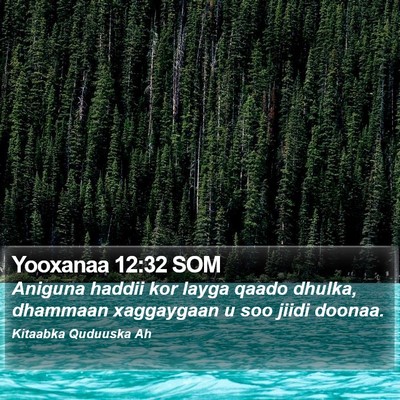 Yooxanaa 12:32 SOM Bible Verse Image