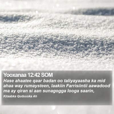 Yooxanaa 12:42 SOM Bible Verse Image