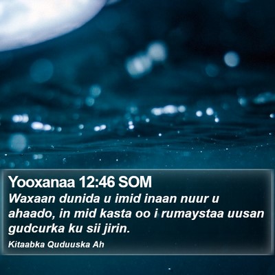 Yooxanaa 12:46 SOM Bible Verse Image