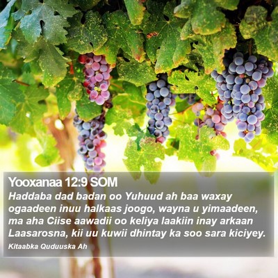 Yooxanaa 12:9 SOM Bible Verse Image