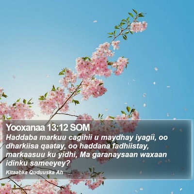 Yooxanaa 13:12 SOM Bible Verse Image