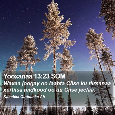 Yooxanaa 13:23 SOM Bible Verse Image