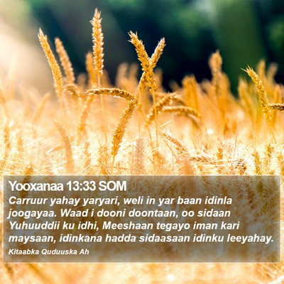 Yooxanaa 13:33 SOM Bible Verse Image