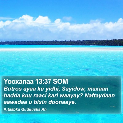 Yooxanaa 13:37 SOM Bible Verse Image