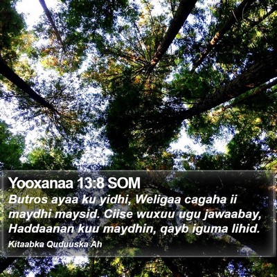 Yooxanaa 13:8 SOM Bible Verse Image