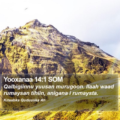 Yooxanaa 14:1 SOM Bible Verse Image