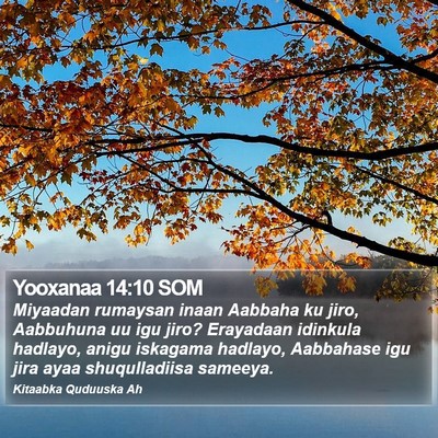 Yooxanaa 14:10 SOM Bible Verse Image