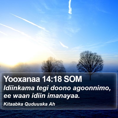 Yooxanaa 14:18 SOM Bible Verse Image