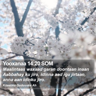 Yooxanaa 14:20 SOM Bible Verse Image