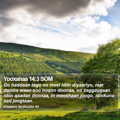 Yooxanaa 14:3 SOM Bible Verse Image