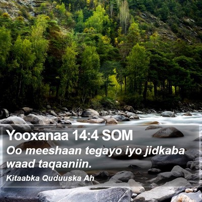 Yooxanaa 14:4 SOM Bible Verse Image
