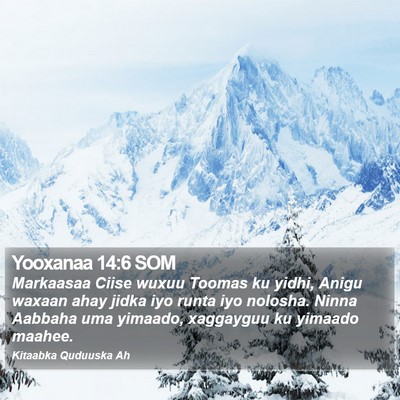 Yooxanaa 14:6 SOM Bible Verse Image
