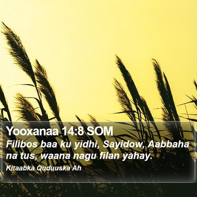 Yooxanaa 14:8 SOM Bible Verse Image