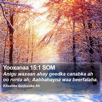 Yooxanaa 15:1 SOM Bible Verse Image