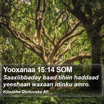 Yooxanaa 15:14 SOM Bible Verse Image