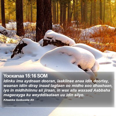 Yooxanaa 15:16 SOM Bible Verse Image