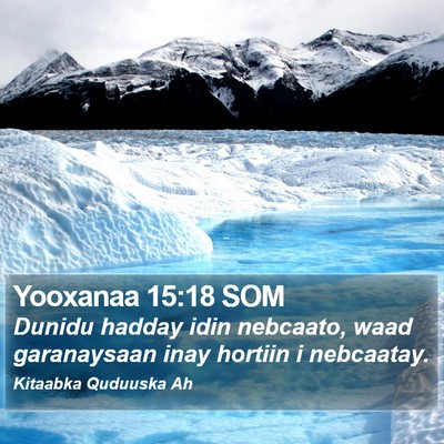 Yooxanaa 15:18 SOM Bible Verse Image
