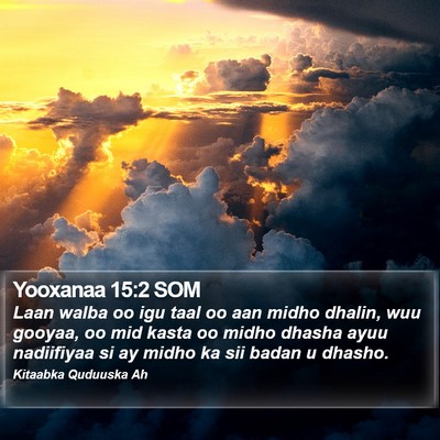 Yooxanaa 15:2 SOM Bible Verse Image