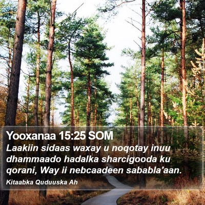 Yooxanaa 15:25 SOM Bible Verse Image