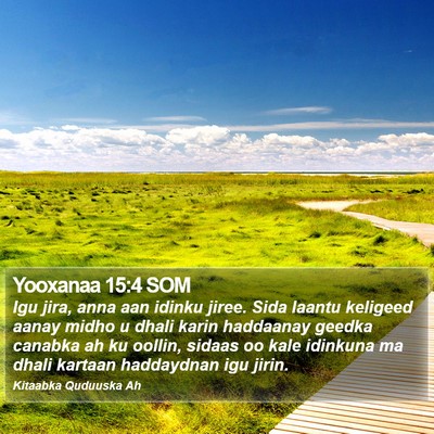 Yooxanaa 15:4 SOM Bible Verse Image