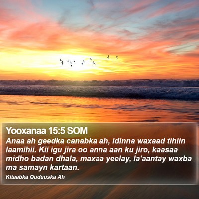 Yooxanaa 15:5 SOM Bible Verse Image