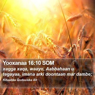Yooxanaa 16:10 SOM Bible Verse Image