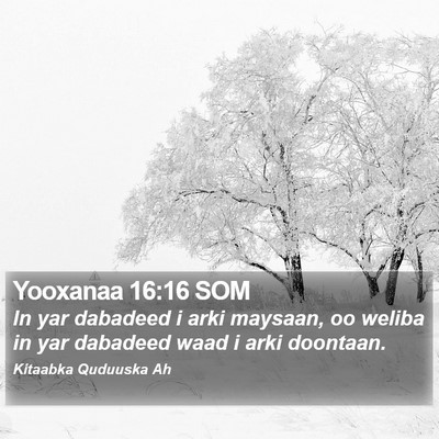 Yooxanaa 16:16 SOM Bible Verse Image