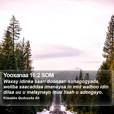 Yooxanaa 16:2 SOM Bible Verse Image
