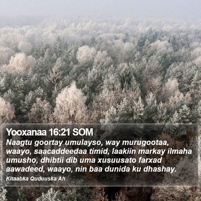 Yooxanaa 16:21 SOM Bible Verse Image