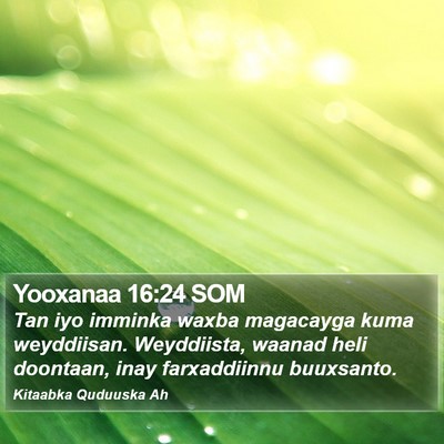 Yooxanaa 16:24 SOM Bible Verse Image