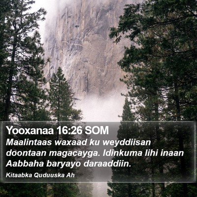 Yooxanaa 16:26 SOM Bible Verse Image