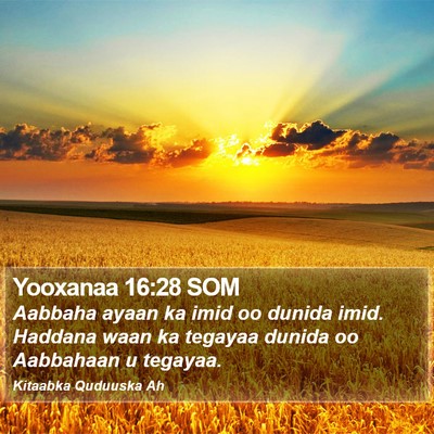 Yooxanaa 16:28 SOM Bible Verse Image