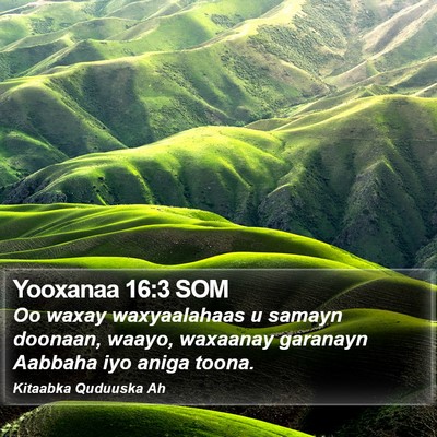 Yooxanaa 16:3 SOM Bible Verse Image