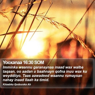Yooxanaa 16:30 SOM Bible Verse Image