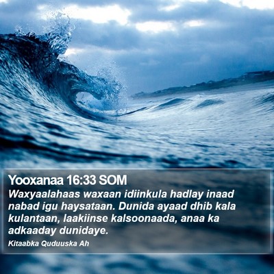 Yooxanaa 16:33 SOM Bible Verse Image