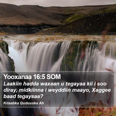 Yooxanaa 16:5 SOM Bible Verse Image
